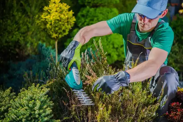 landscaping services Knob Noster